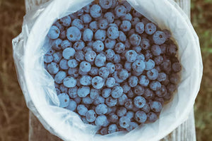 Blueberry Lavender Ice Cream