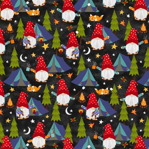 Camping Gnomes
